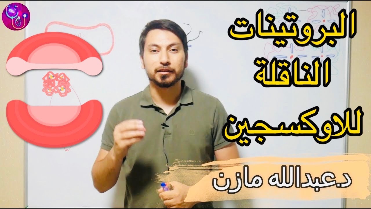 ما الفرق بين الهيموغلوبين والمايوغلوبين ؟ Hemoglobin Vs Myoglobin