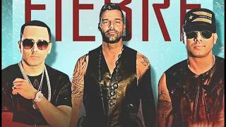 Ricky Martin ft  Wisin & Yandel - Fiebre RMX