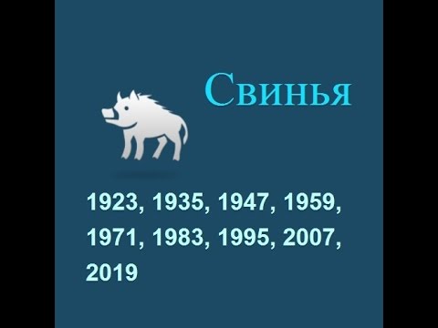 Год свиньи, гороскоп составленный психологом Натальей Кучеренко.