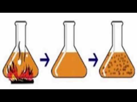 Experimentos de needham e spallanzani