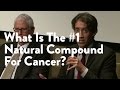 What Is The #1 Natural Compound For Cancer? [James Maskell, Functional Forum]