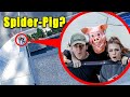 When you see spiderpig near your house run he captured stromedy and his girlfriend