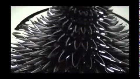 Concepts of Parametricism