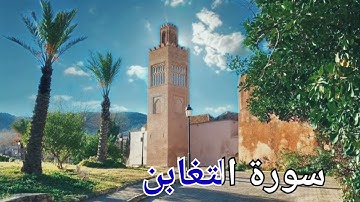 سورة التغابن بصوت جميل جدا للقارئ حسام الدين عبادي  . Quran