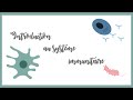 Introduction au système immunitaire (inné et adaptatif)-Immunologie.