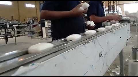 Automatic Soap Packaging Machine