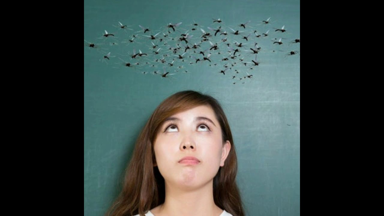 Над головой хрипло орали невидимые. Мужик с нимбом на голове. Самолюбование. Нимб эстетика. Останусь светом.