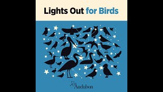 Lights Out for Birds Webinar