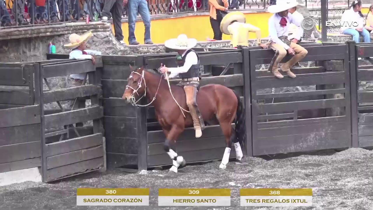 LXII ANIVERSARIO DE CHARROS DEL  PEDREGAL COMPETENCIA 8