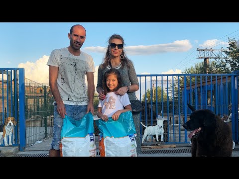 ვიზიტი თამაზ ელიზბარაშვილის ძაღლების თავშესაფარში