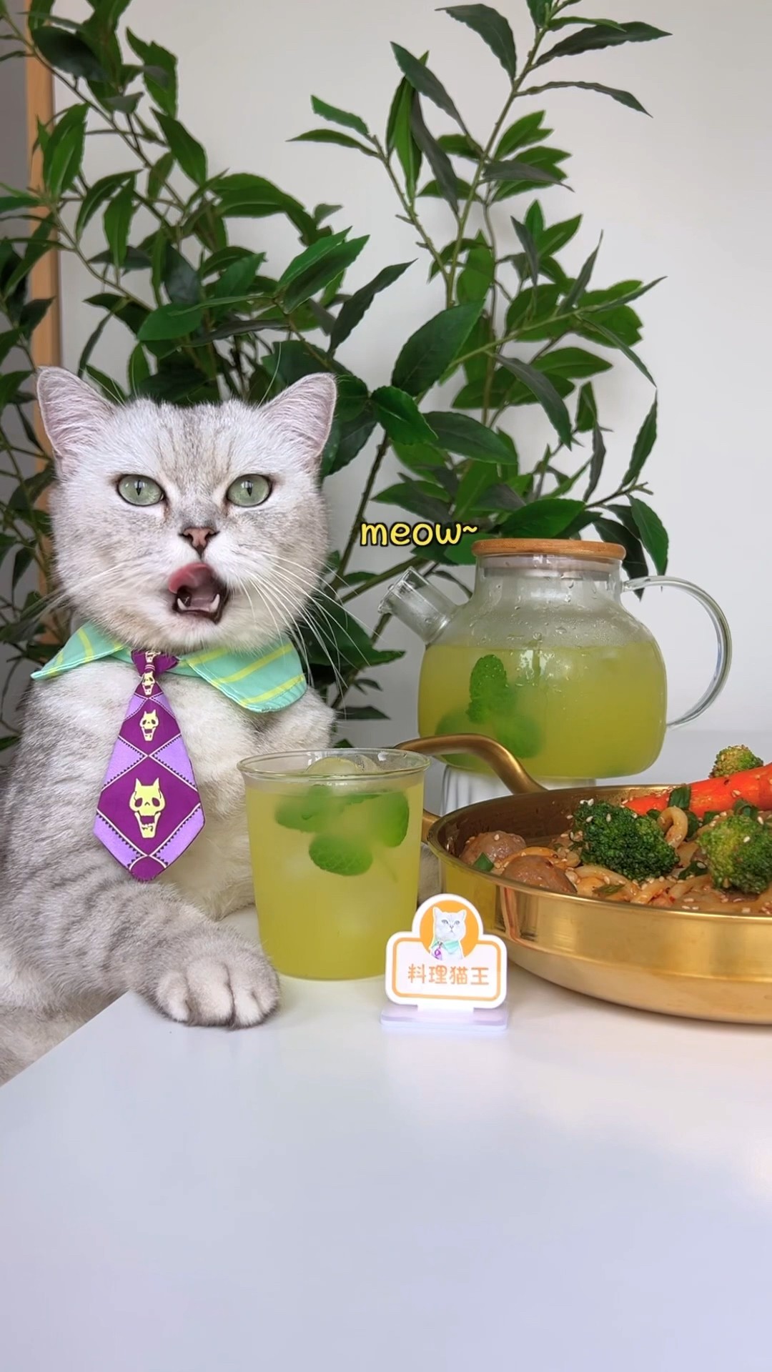 Spicy Mixed \u0026 Lime Juice Are Perfect In The Summer!?? #catsofyoutube #foodlover #tiktok