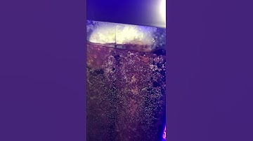 Marineland overflow noise