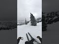 Alta laps are fun laps #snowboarding #skiingfails #wintersports #skiing #skiingstunts #skier