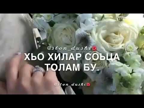 мадина сайтаева. сайхан гериханов хьо са хьоме дуьне ду. хьо суна хаз ели дуьне диц дели. цитаты на чеченском языке. маржа дуьне.