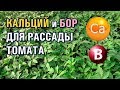 Что нужно для рассады томата - Кальций и бор.