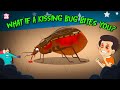 What Happens If a Kissing Bug Bites You? 🐞 | Are Kissing Bugs Dangerous? | Dr. Binocs Show