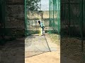 Backfoot punch #cricket #battting #ipl2026
