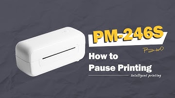 Phomemo PM-246S Tutorial: How to Pause Printing丨Label Printer B246D Setup Instruction Manual