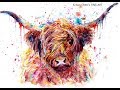 Jian Chen's FINE ART  painting  -  highland cow (head)