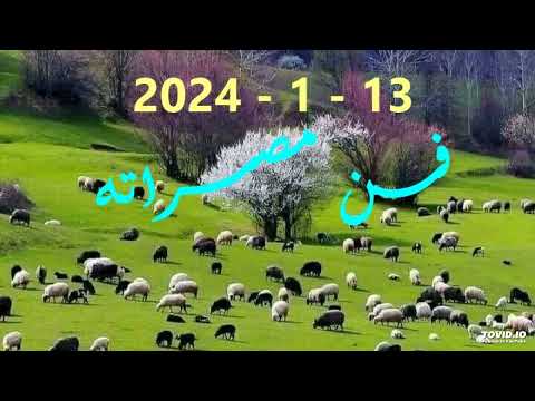 زكره مصراته