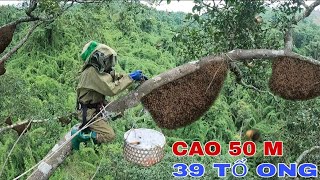 CHINH PHỤC CÂY CAO CỔ THỤ 39 TỔ ONG RỪNG - Thót Tim Với Những Tổ Ong Cao Chọc Trời