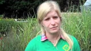 Sickles Market Fall Fine Grasses