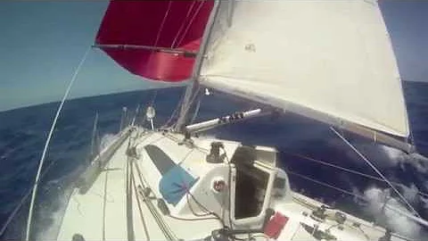 2010 Singlehanded Transpac Ronnie Simpson