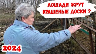 ‼️18+‼️ Кто КРЫШУЕТ РАНЧО Вадима Ивановича ? МВД ? Администрация ? Газпром ? Старомышастовская