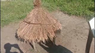 WADOE NA WAKWERE -TAMADUNI