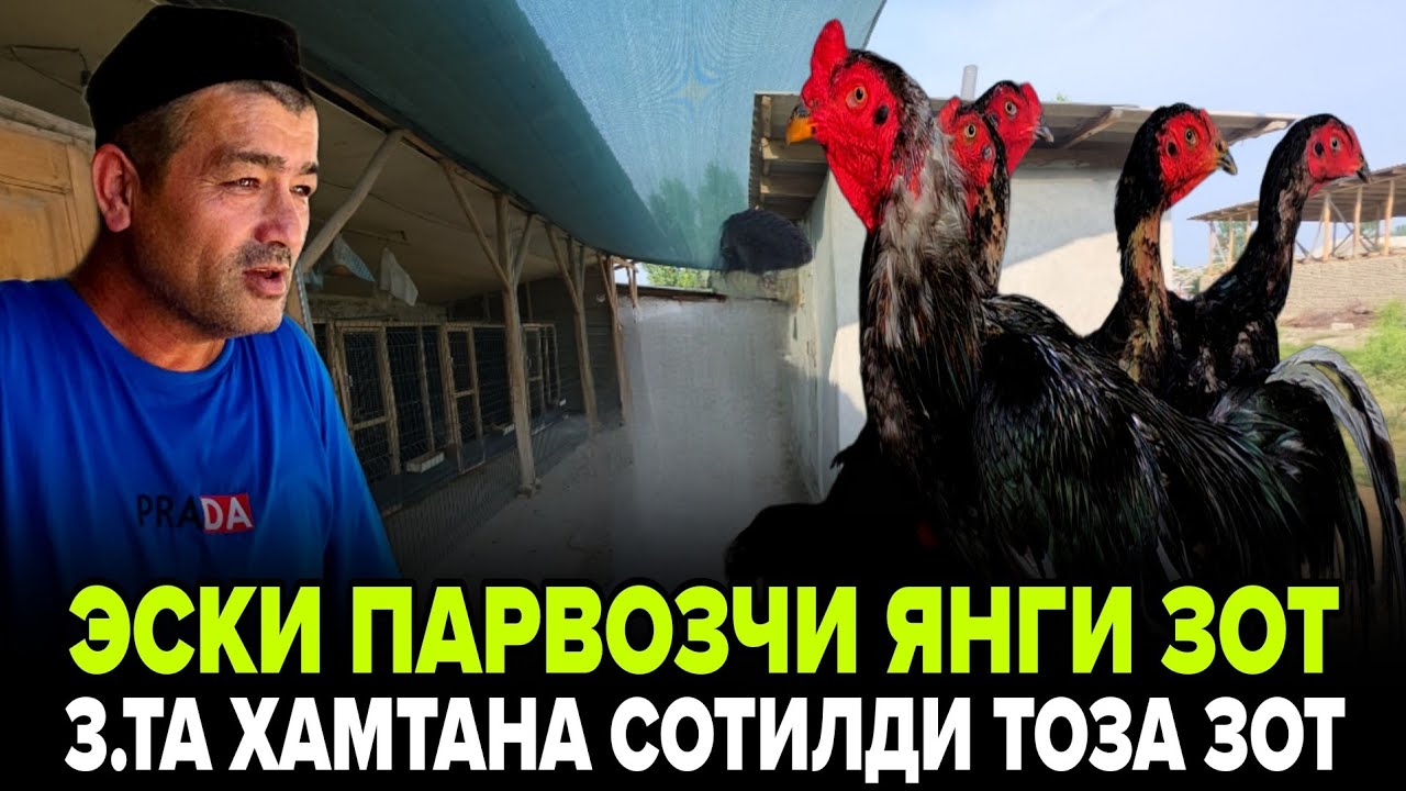АНДИЖОНЛИ ЭСКИ ПАРВОЗЧИ 3.ХИЛ ЗОТНИ КУРСАТТИ ВЕТНАМ