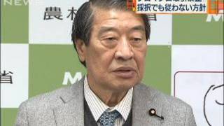 クロマグロ取引禁止採択されても従わない方針（10/03/05）