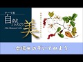 バーチャルテーマ展「自然の美－植物画でみる日本を彩る花－」