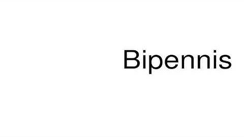 How to pronounce Bipennis