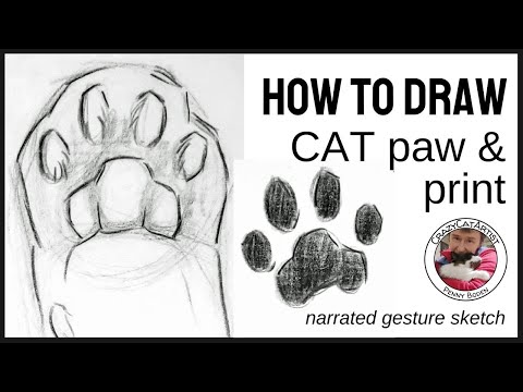 Paws cat and dog sketch scratch board Royalty Free Vector