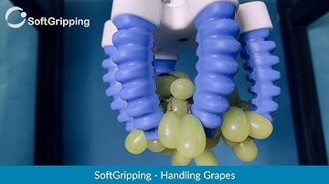 #SoftGripping - Grapes [Objects]