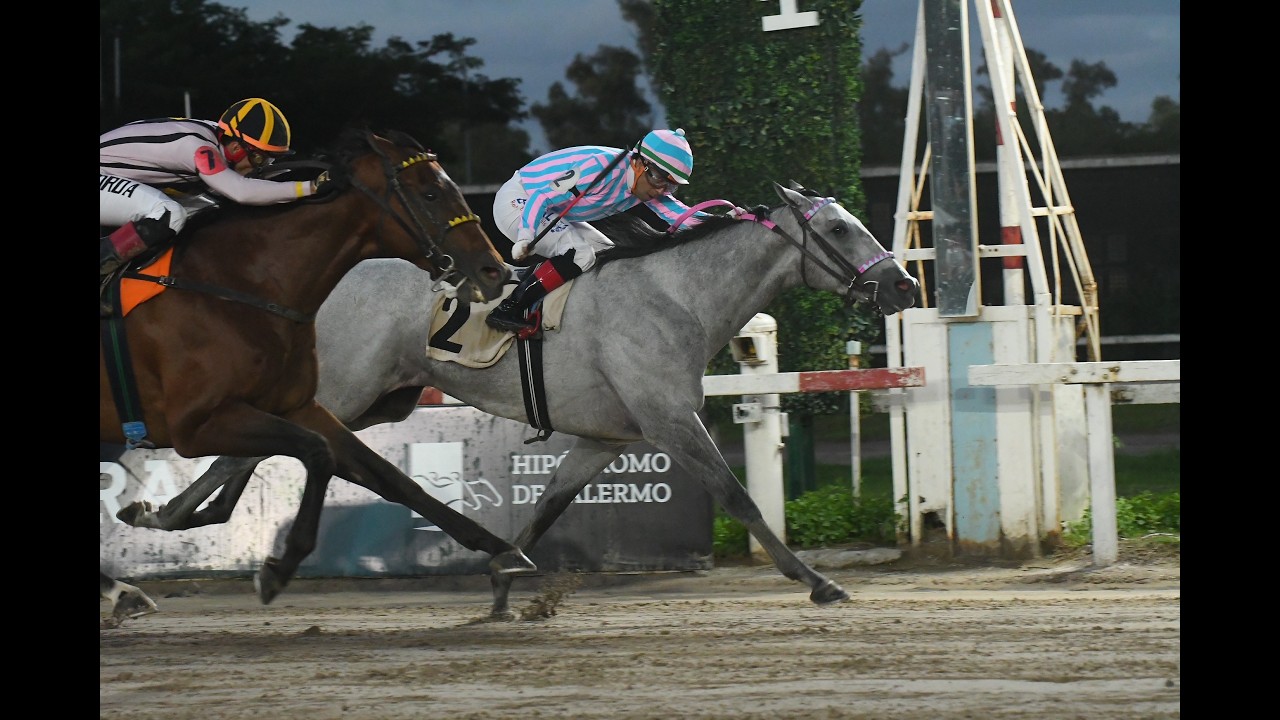 Clásico Benito Villanueva (G2) 2026 - Nevado Catedral (Gouverneur Morris)