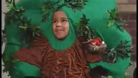 Tree-Mendous Trees (2001 Version) Part 18