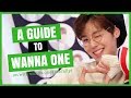 a very unhelpful guide to wanna one