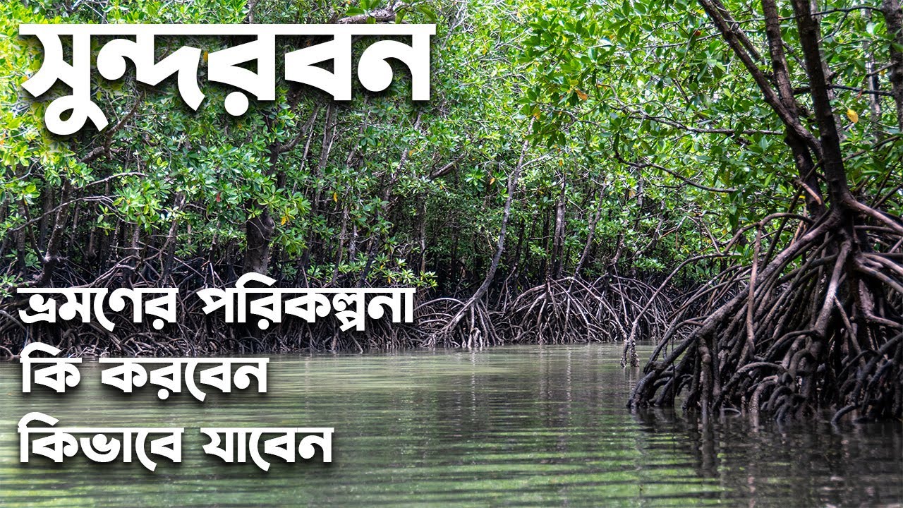 sundarban tourist board