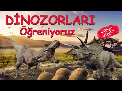 Dinozorları Öğreniyoruz - Çocuklar için Eğitici Video -