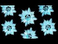 Beautiful paper flower for wall decor/gift box decoration || Room decor || paper craft