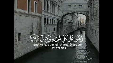 الله خالق كل شئ | للقارئ محمد كمال هاشم | حالات واتس اب دينيه♥♥.