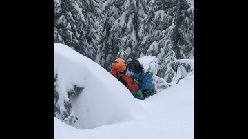 Axys 800 silber turbo pulls