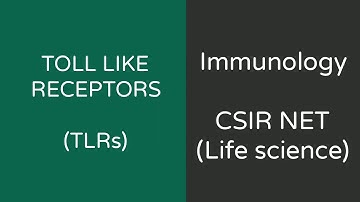 CSIR #NET | TOLL LIKE RECEPTORS (TLRs) | IMMUNOLOGY | HINDI