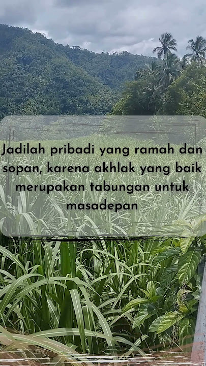 Kata Kata Mutiara Islami Kireina Wijaya 40 #mutiaraislami #katamotivasiislami #katakatabijakislami