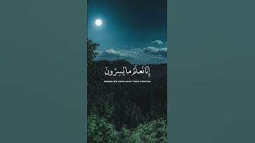 [فلا يحزنك قولهم ] قران كريم | القارئ محمد هشام
