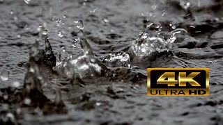 Rainfall Reflections: 4K Ambient Rain Sounds for Sleep, Study, Work, Relaxation & Meditation