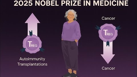 2025 Nobel Prize in Medicine — The Discovery That Tamed the Immune System