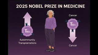 2025 Nobel Prize in Medicine — The Discovery That Tamed the Immune System