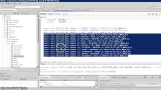 SAP HANA Elearning -- Basic Operations in HANA Studio Part2 Wealth